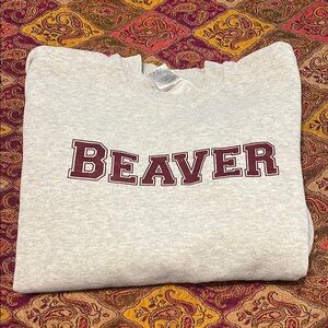 Beaver Gray Sweater